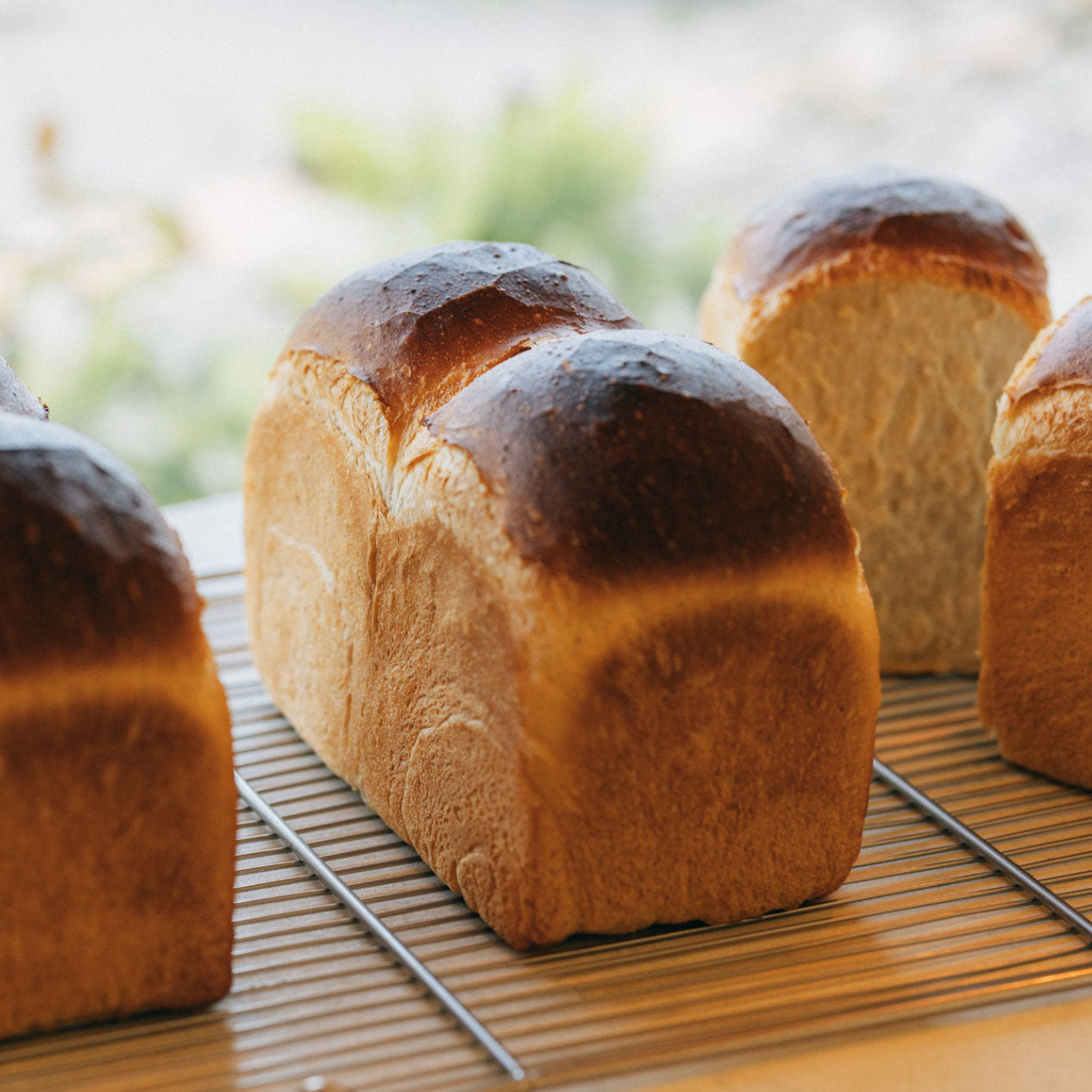 パン・ド・ミ　1本（2斤）